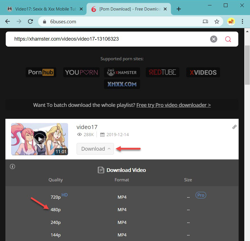 Download xHamster online