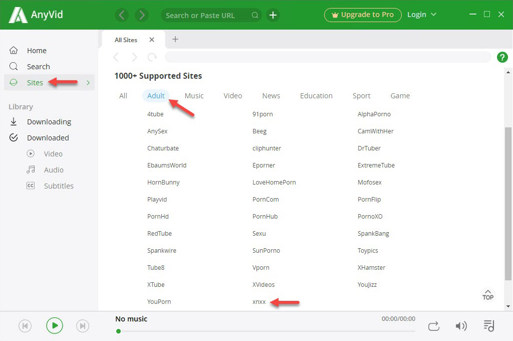 Supported porn sites