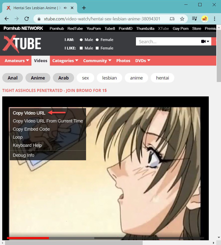 Copy XTube URL