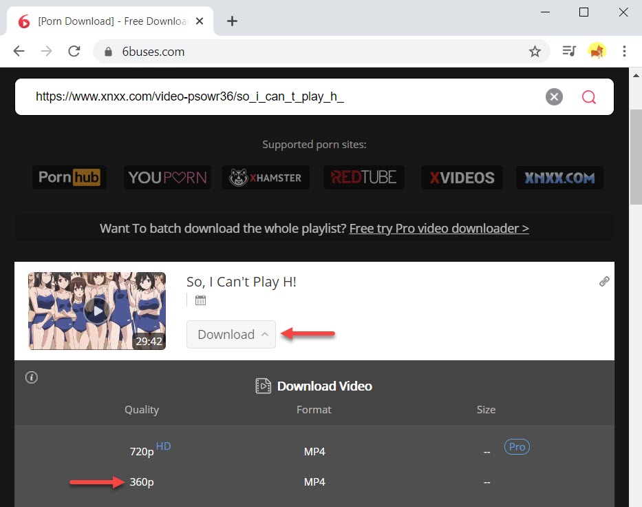 Choose a resolution option to save from XNXX