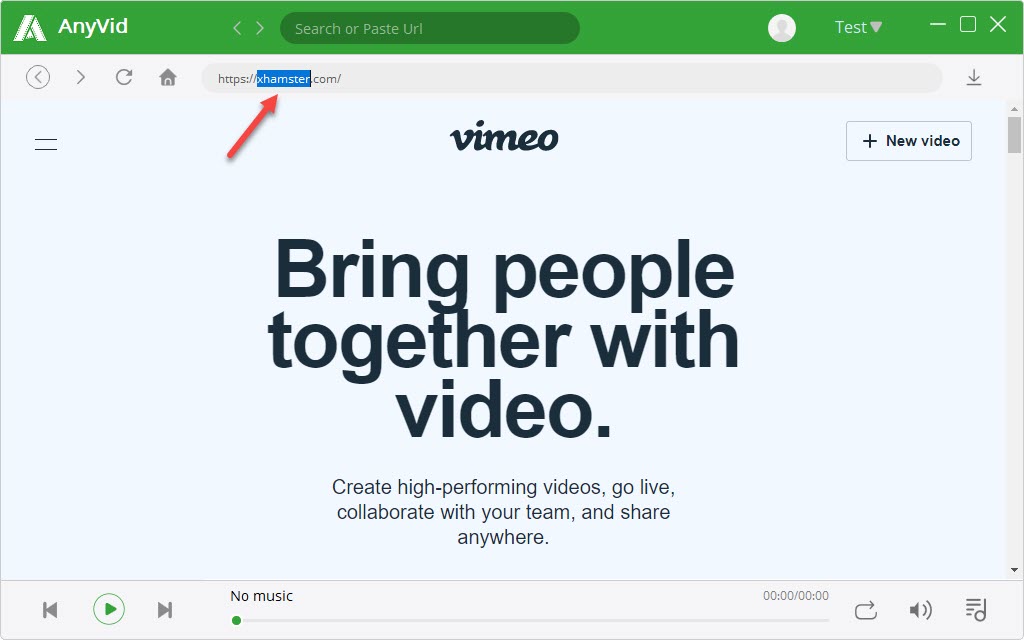 Access any site on AnyVid