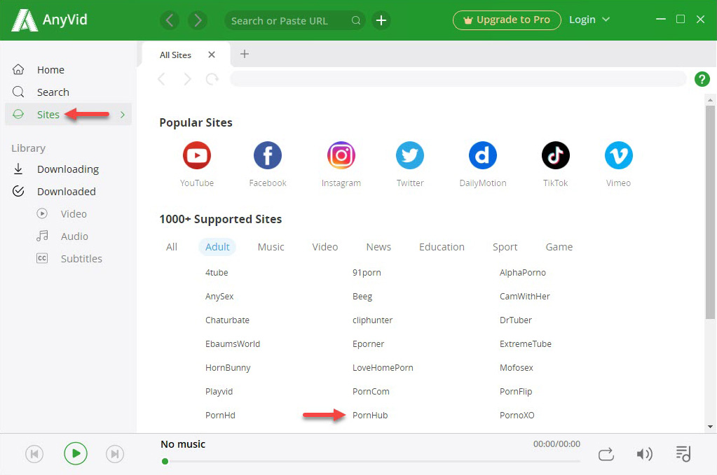 Supported porn sites