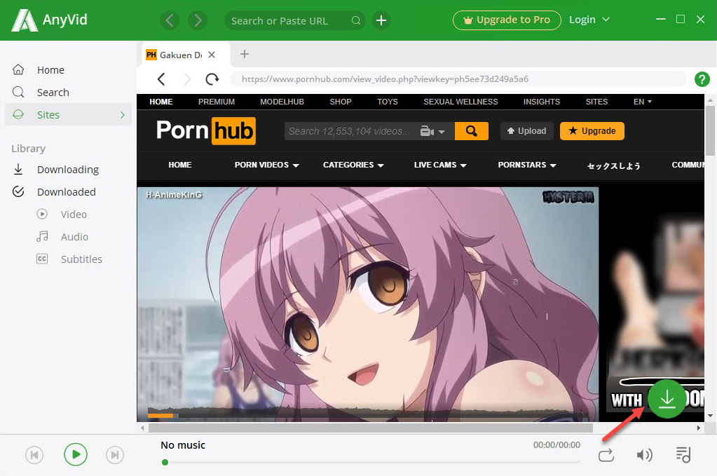 Free Pornhub download with video downloader