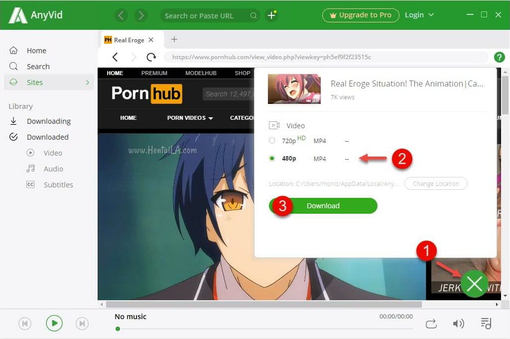 how to download video from porn hub