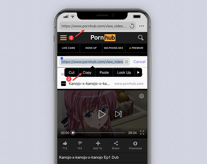 how to download video from porn hub