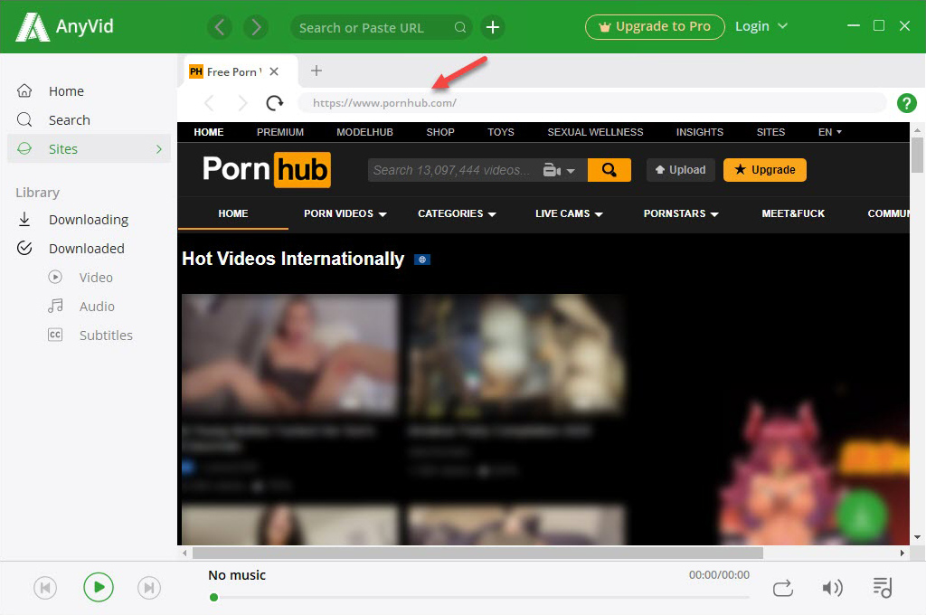 Access Pornhub within the video downloader