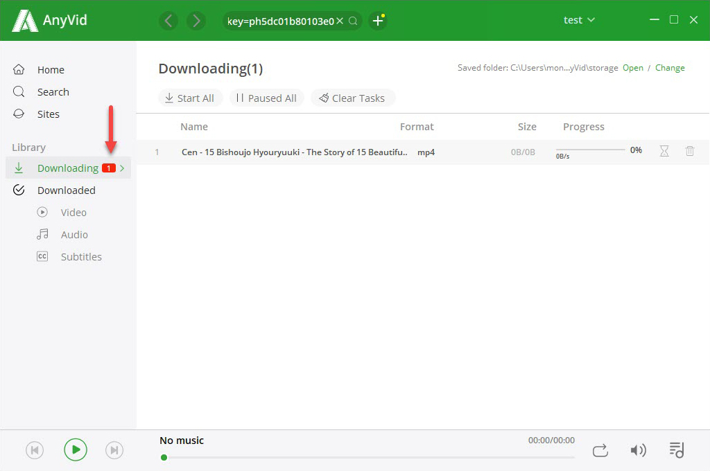 Download porn URL with video downloader